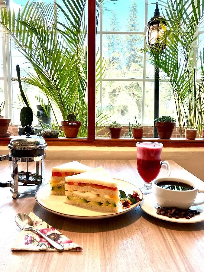 Quito Terrace Hostel