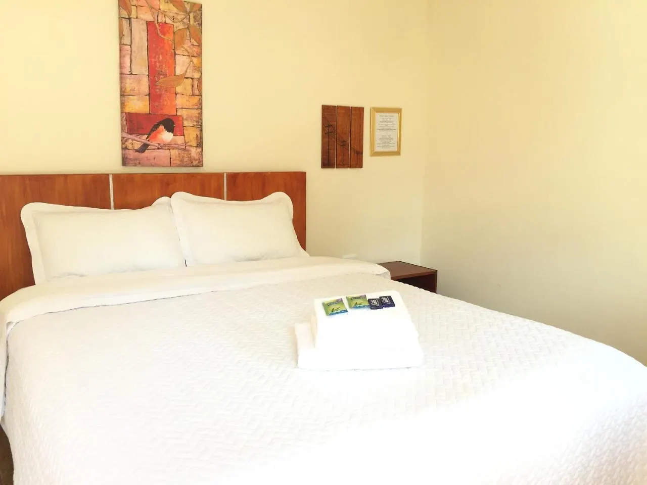 Quito Terrace Pansiyon Hostel