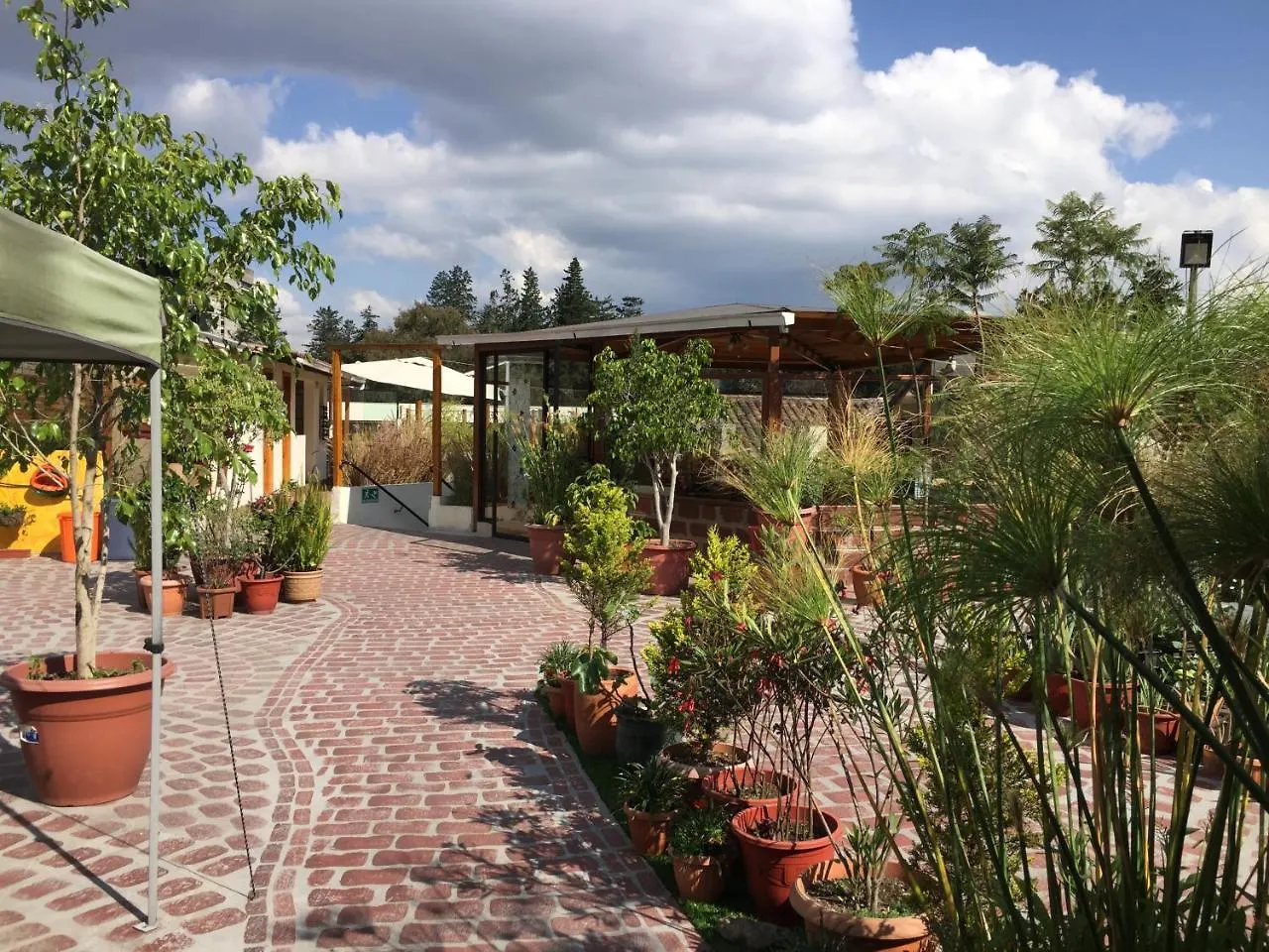 Quito Terrace Pansiyon
